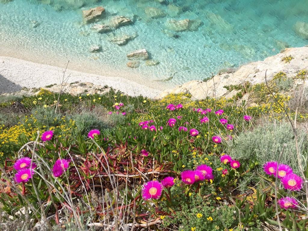 Experience Relais " Il Termine Elba " 호텔 리오마리나 외부 사진